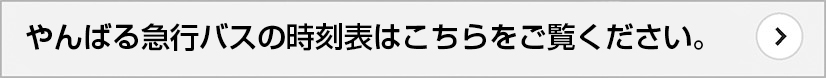 やんばる急行バス時刻表